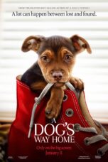 A Dog’s Way Home (2019)