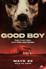 Good Boy (2022)